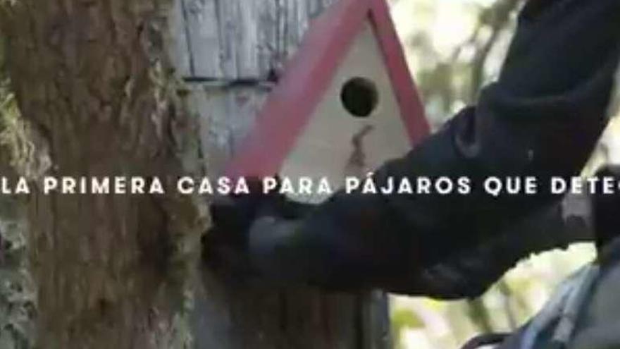 Instalación del dispositivo que funciona como refugio de aves .