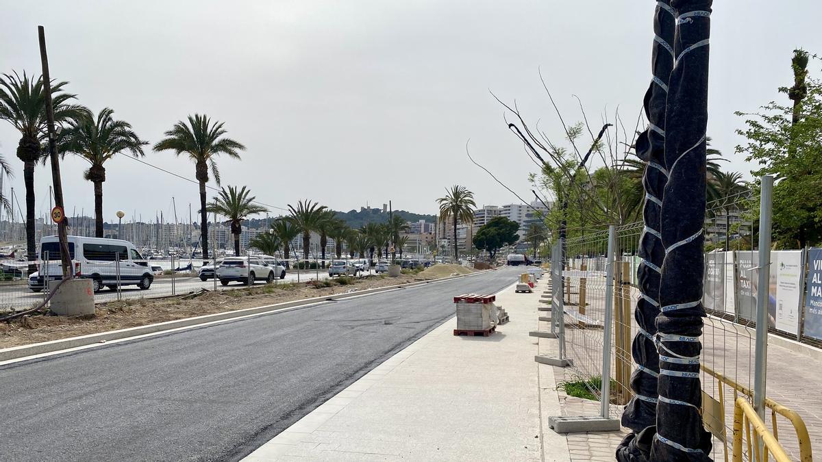 FOTOS: Así van las obras en el Paseo Marítimo de Palma un año y cuatro ...