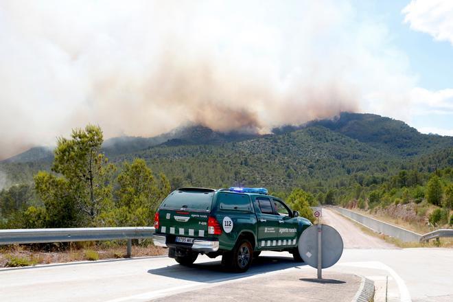 В Каталонии активируют уровень 3 плана Альфа из-за пожароопасности