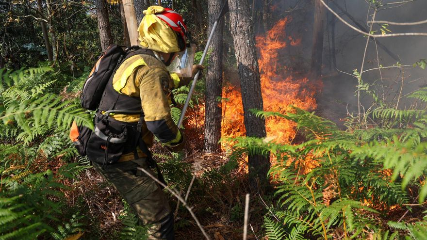 El concello busca trabajadores para la brigada forestal