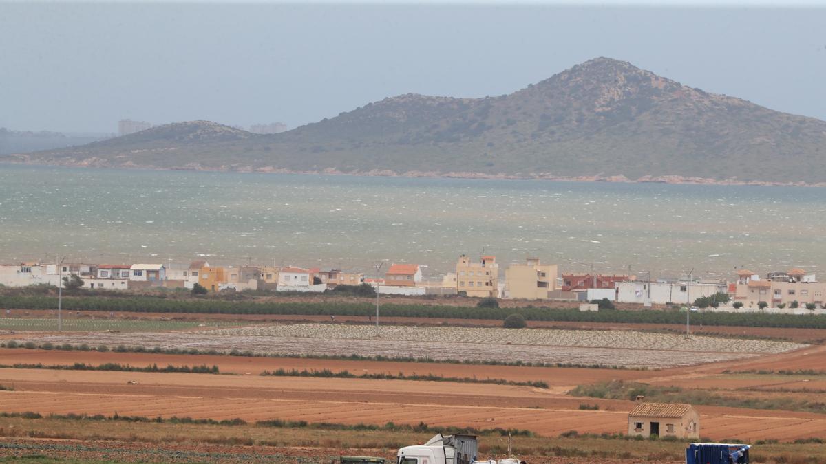 Agricultura en el Mar Menor