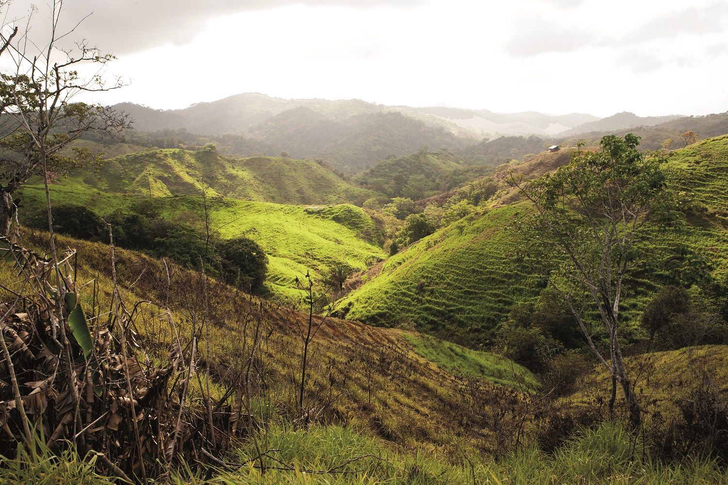 Hacia el Caribe por la cordillera de San Blas.