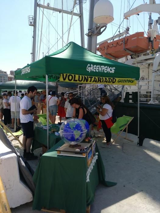 El Rainbow Warrior, buque insignia de Greenpeace, anclaba este sábado en el puerto de Málaga, donde permanecerá varios celebrando jornadas de puertas abiertas para quienes quieran visitarlo