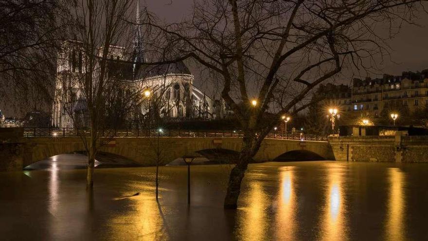 El nivel del agua del Sena en el entorno de la catedral de Notre-Dame. // AFP