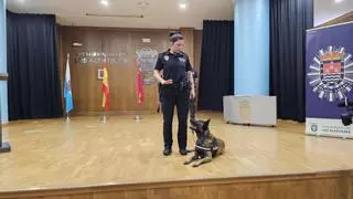 Los Alcázares reactiva la Unidad Canina con Ray y la agente Jennifer García al frente