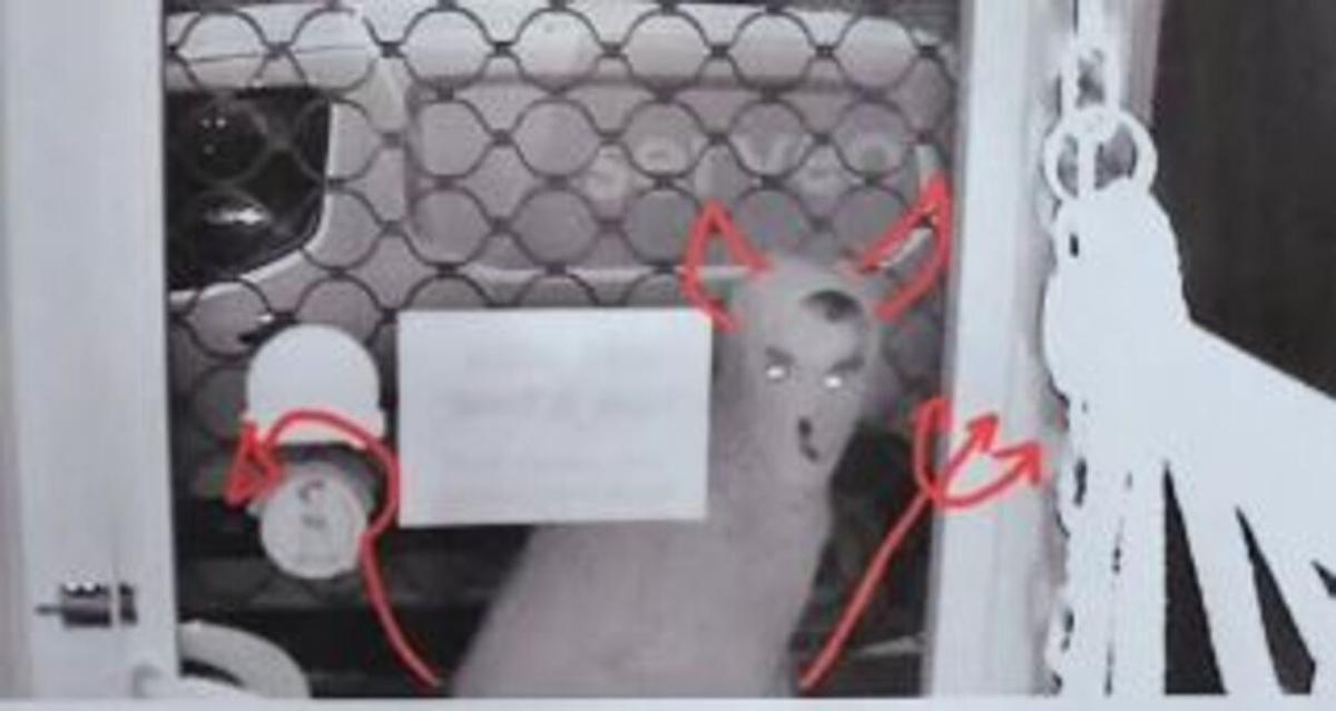 Imagen difundida por el dueño de un local que el detenido asaltó la noche del 25 de octubre.