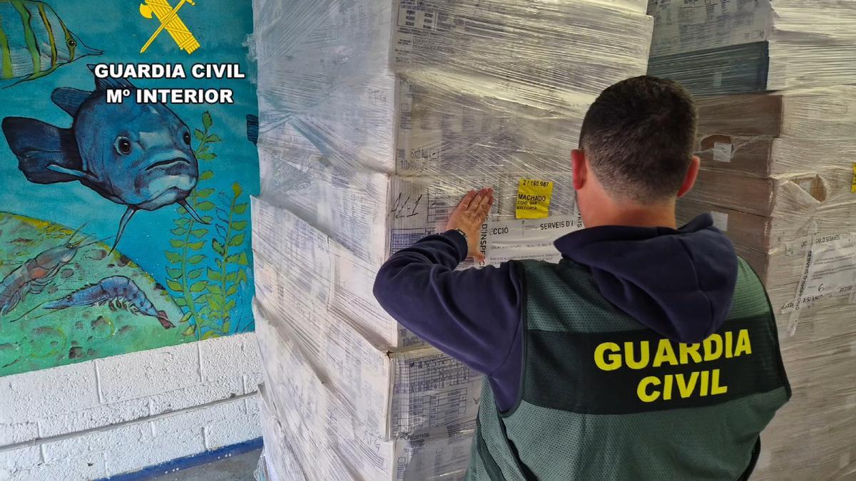 Intervienen 20 toneladas de marisco y pescado no apto para el consumo humano en Palma