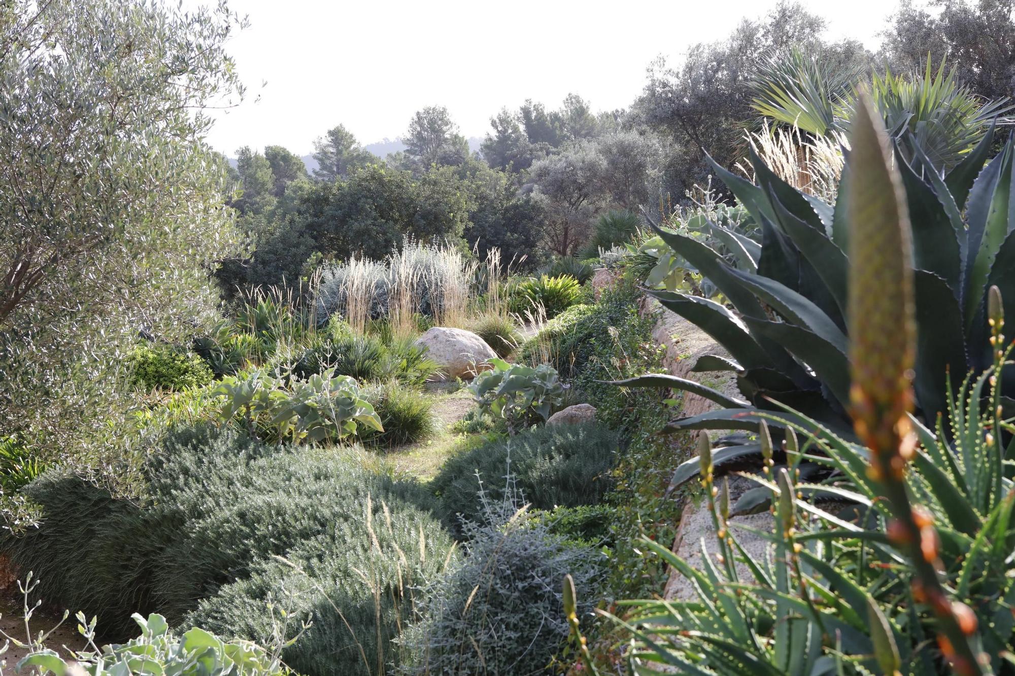 Ein Garten auf Mallorca ganz in Öko