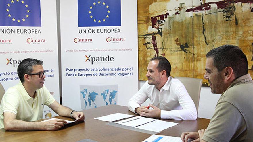 Xpande es un servicio para asesorar a las empresas y hacerlas competitivas en los mercados exteriores.