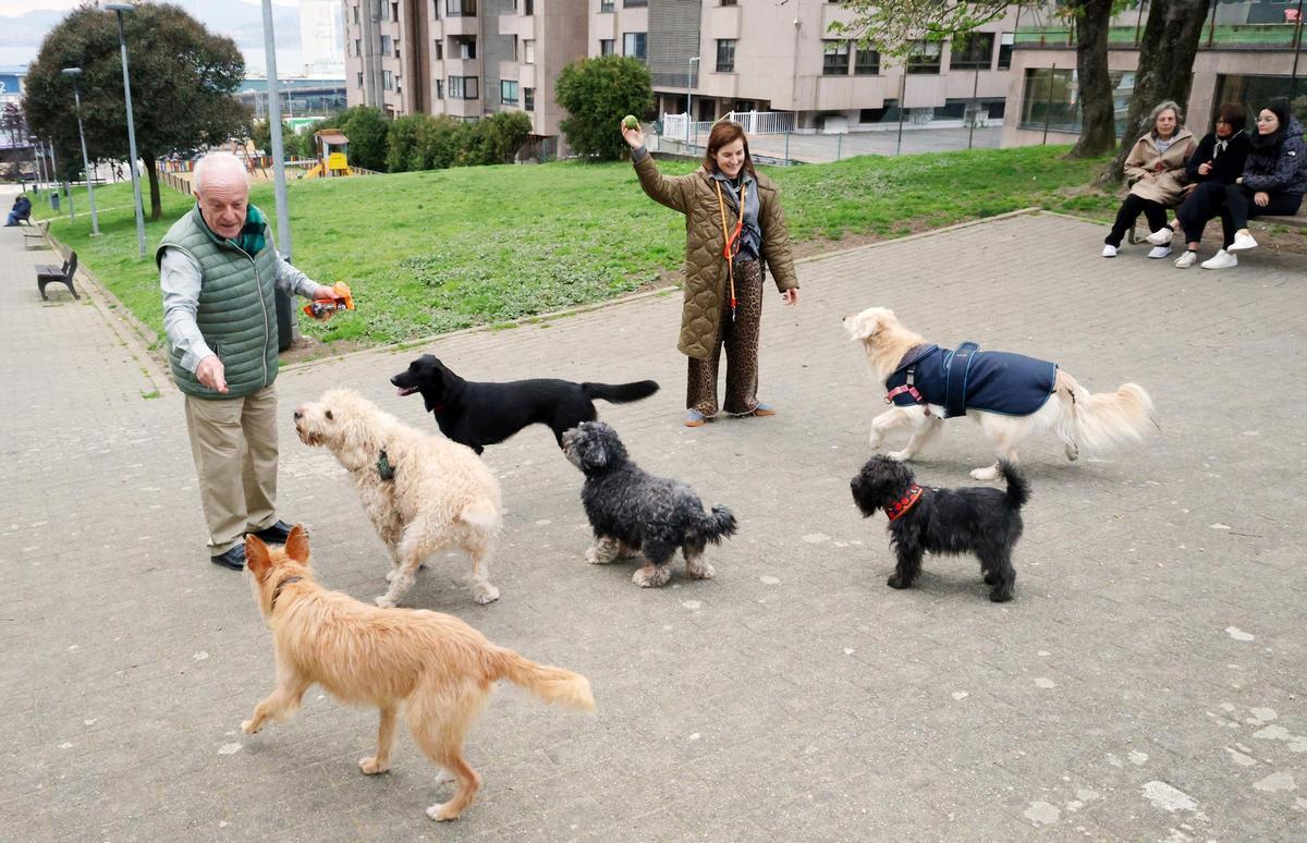 Perros con sus dueños en el parque María Xosé Queizán de Vigo.
