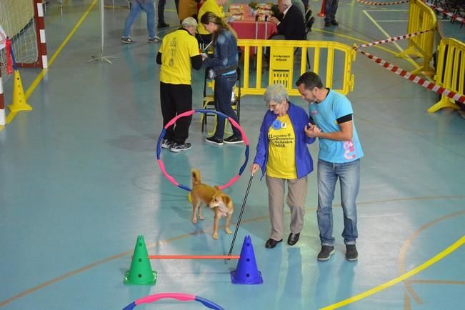 OLIMPIADA DEL ABUELO CANARIO