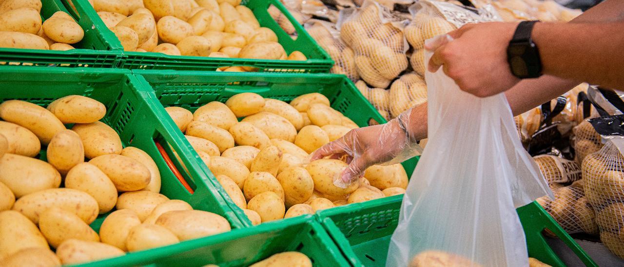 Mercadona prevé comprar 3.700 toneladas de patatas de Baleares en 2024, un 6% más
