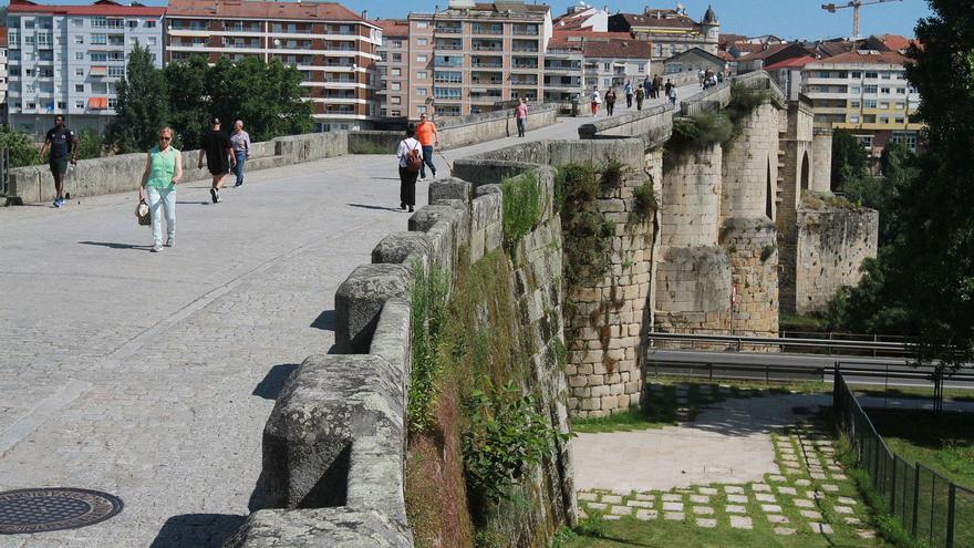 El aspecto del Puente Romano de Ourense, con abundante vegetación en sus sillares. // IÑAKI OSORIO