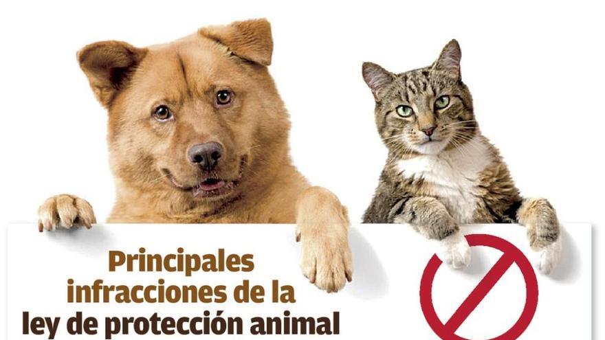 El Parlamento aprueba la nueva ley que eleva las sanciones por maltrato animal