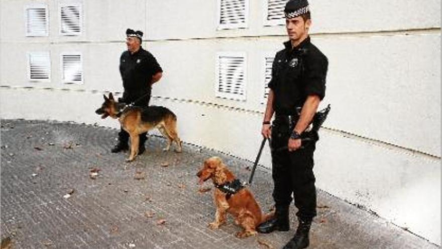 Els dos gossos que ha incorporat la policia municipal, ahir, davant la seu del cos.