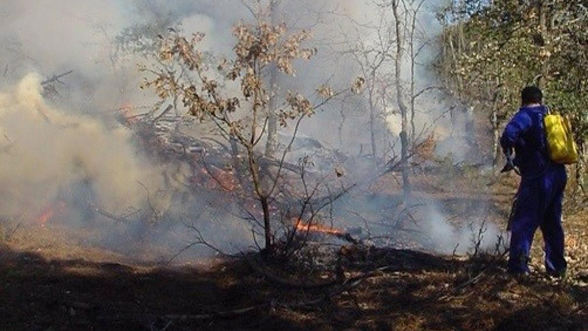 Actuación de los bomberos del Infoex en una foto de archivo.