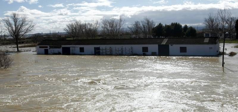 Fotogalería de la crecida del Ebro