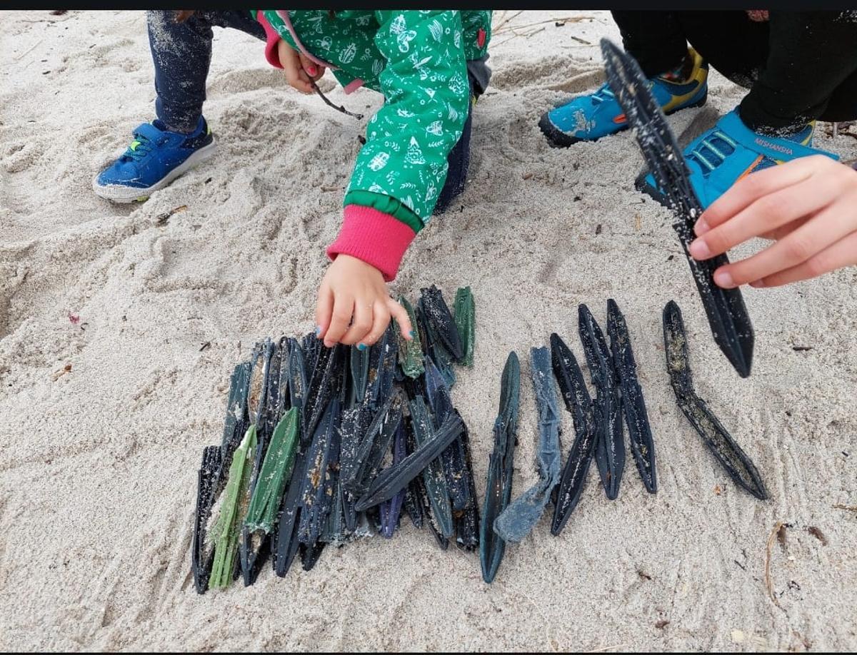 Palillos recogidos en una playa de Cangas