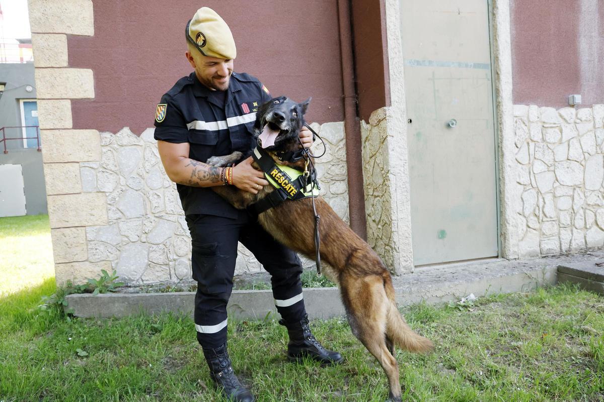 Perro de la raza pastor belga malinois llamado Uruk-hai, perteneciente a la UME, y especialista en encontrar personas, con su guía Valiño.