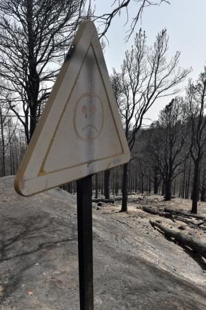 24-08-2019 TEJEDA. Zonas quemadas junto a la carretera de Cruz de Tejeda a Pinos de Galdar  | 24/08/2019 | Fotógrafo: Andrés Cruz