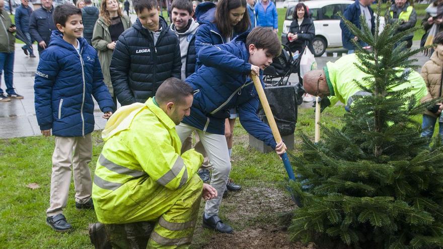 Un abeto por Europa en Avilés