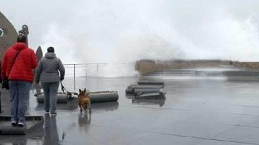 Els danys que va causar el temporal.