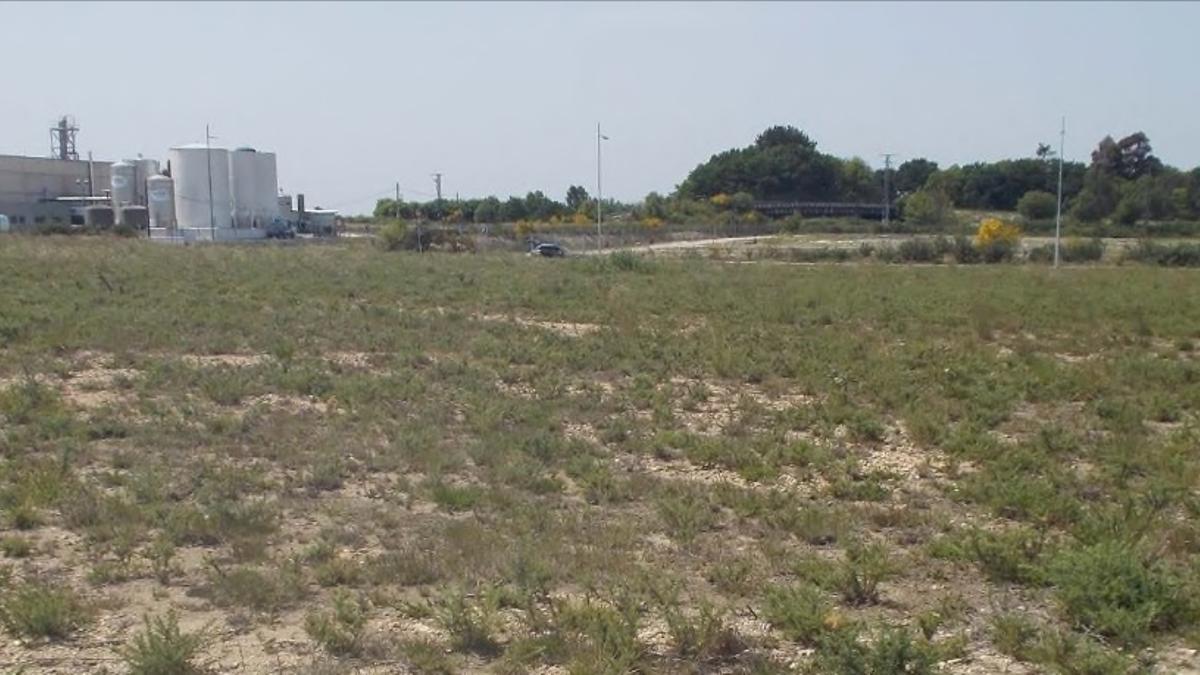 Parcela en la que se ubicará la nueva planta de biometano de Norbigás de Teixeiro.