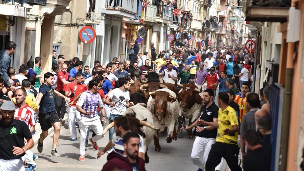 Las mejores imágenes del encierro de Luis Algarra en Almassora