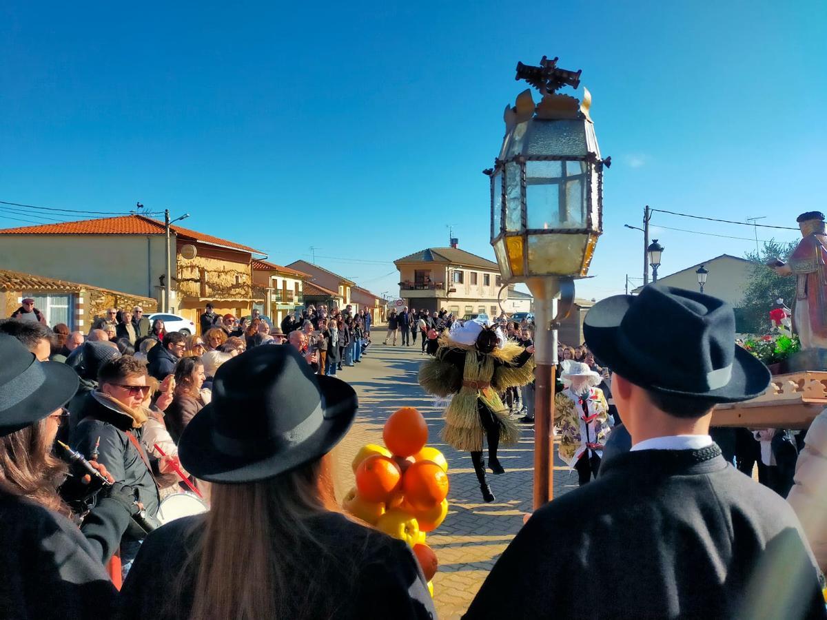 GALERÍA | Tafarrón de Pozuelo de Tábara 2025