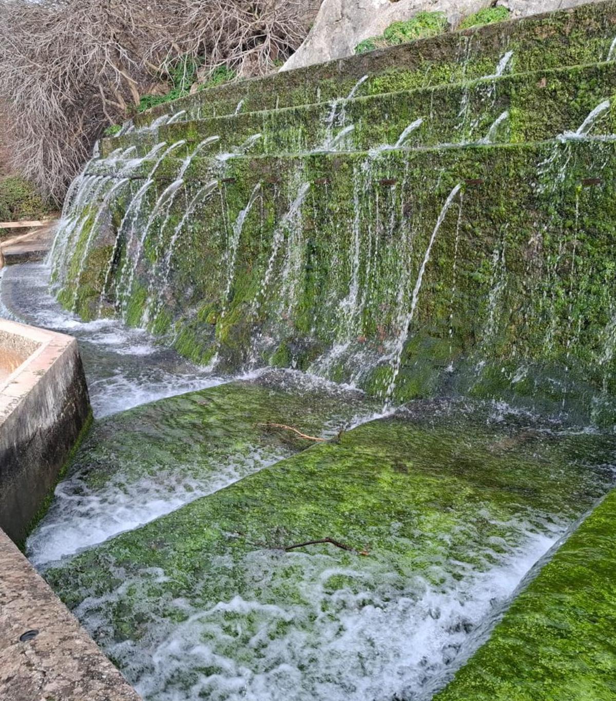 Agua brotando del manantial de la fuente de los Cien Caños.