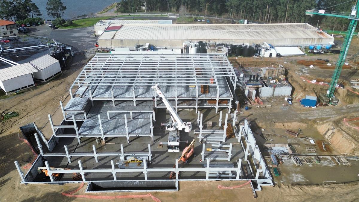 Ampliación de las instalaciones de producción de lenguado en Cambados, Pontevedra