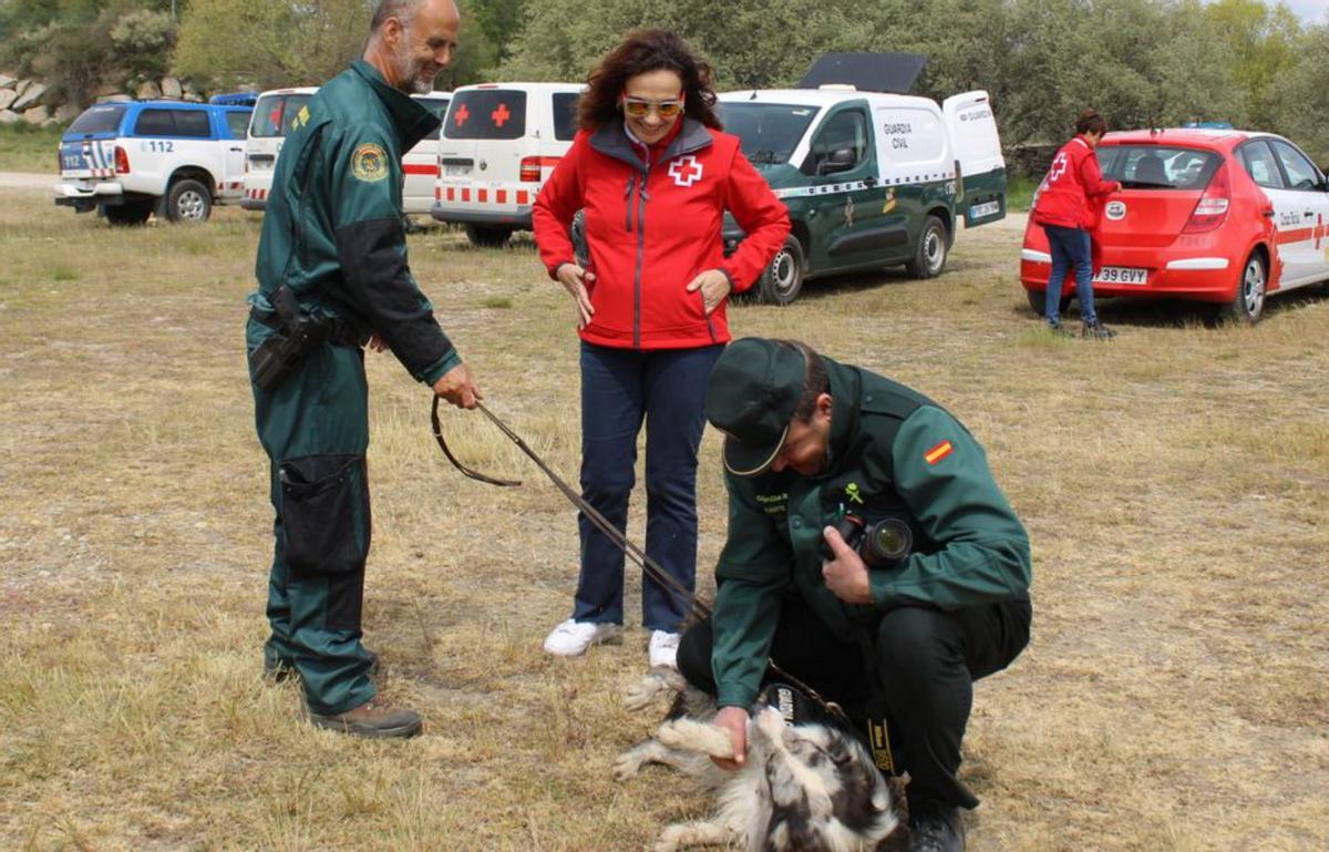 Desaparecidos, preparados para actuar