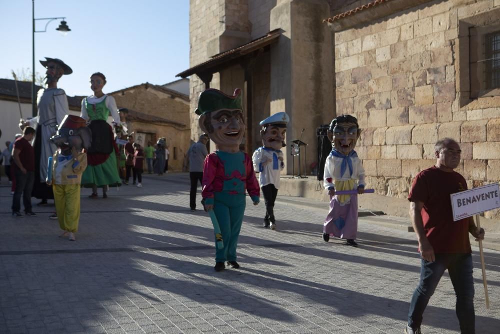 El II Encuentro de Gigantes y Cabezudos de Villaralbo, en imágenes