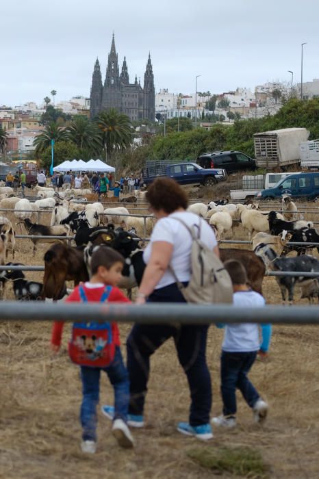 23.06.18. ARUCAS. FIESTAS SAN JUAN ARUCAS, FERIA ...