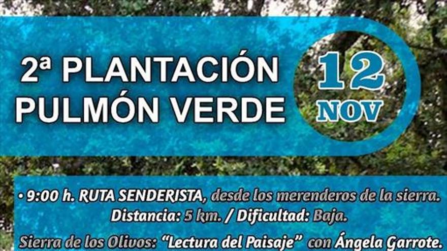Pulmón Verde organiza dos plantaciones de árboles en la sierra de San Cristóbal