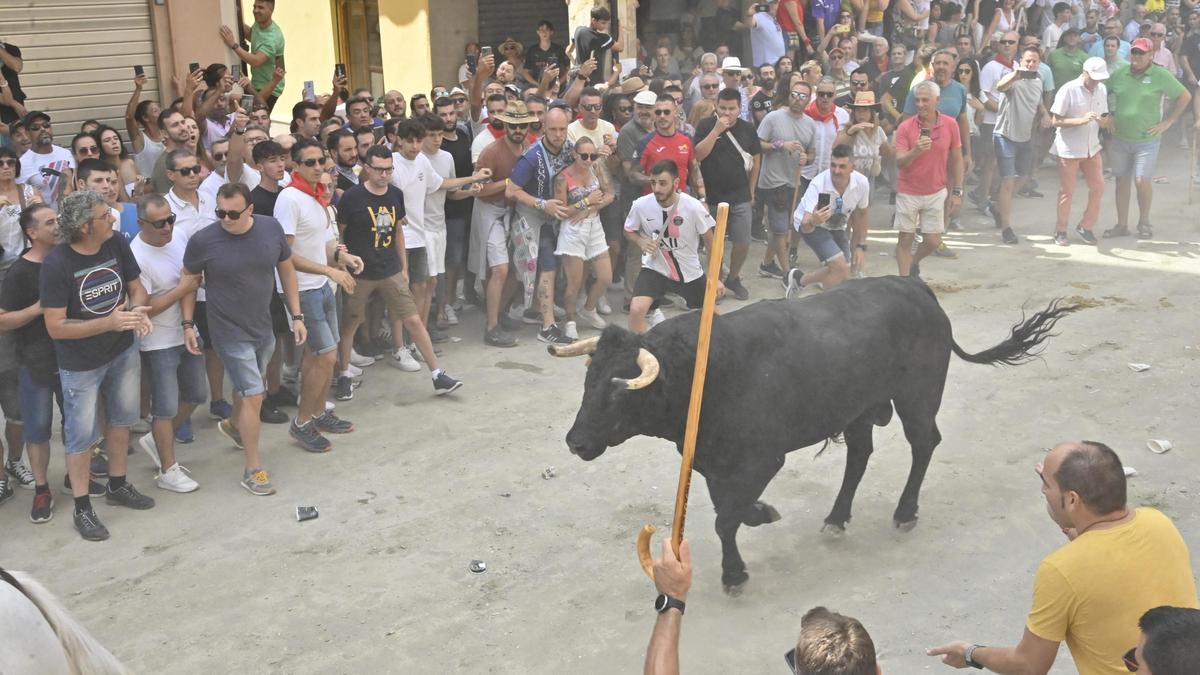 Segorbe celebrará en septiembre ua nueva edición de su concurso de ganaderías.