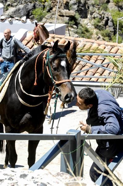 XX Feria Equina de La Culata de Tejeda