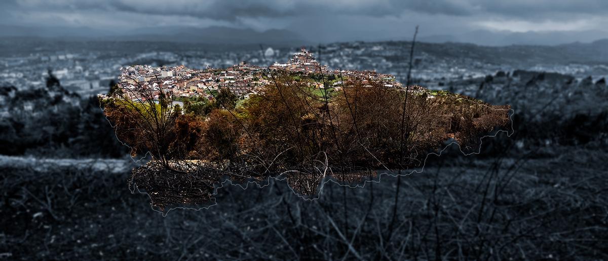 Imagen del Naranco arrasado por las llamas este año