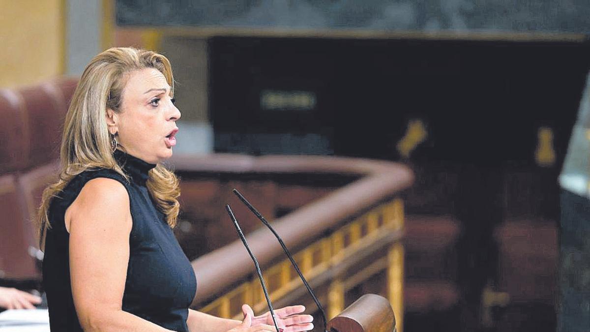 La nacionalista Cristina Valido, en su intervención en el Pleno del Congreso