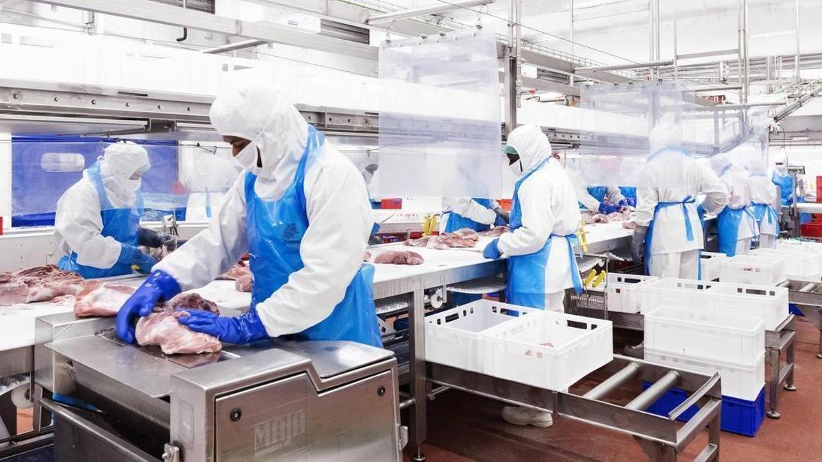 Instalaciones productivas del Grupo Jorge en Zuera (Zaragoza), uno de los gigantes de la industria porcina en España y Europa.