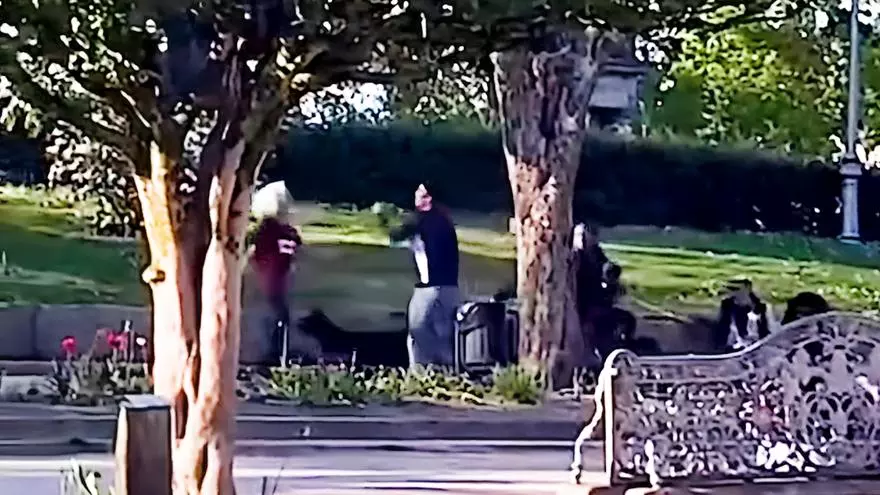 Dos individuos se lían a puñetazo limpio en la Alameda de Santiago
