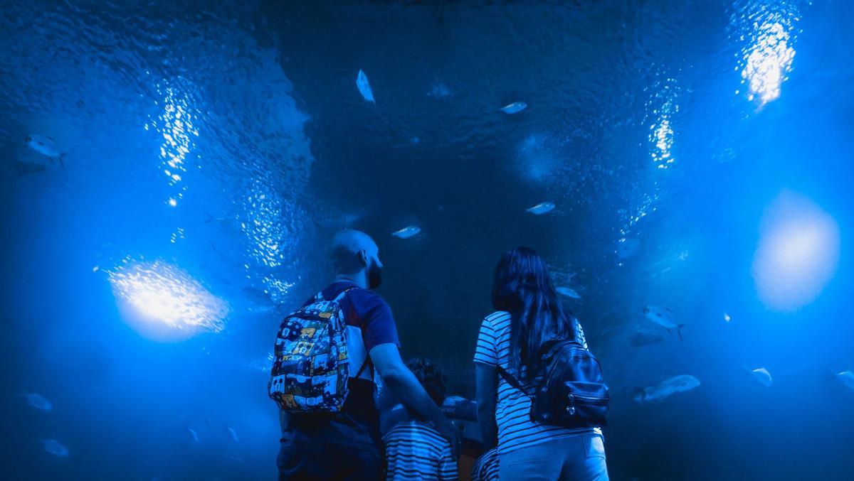 Una familia en el tunel de los tiburones.
