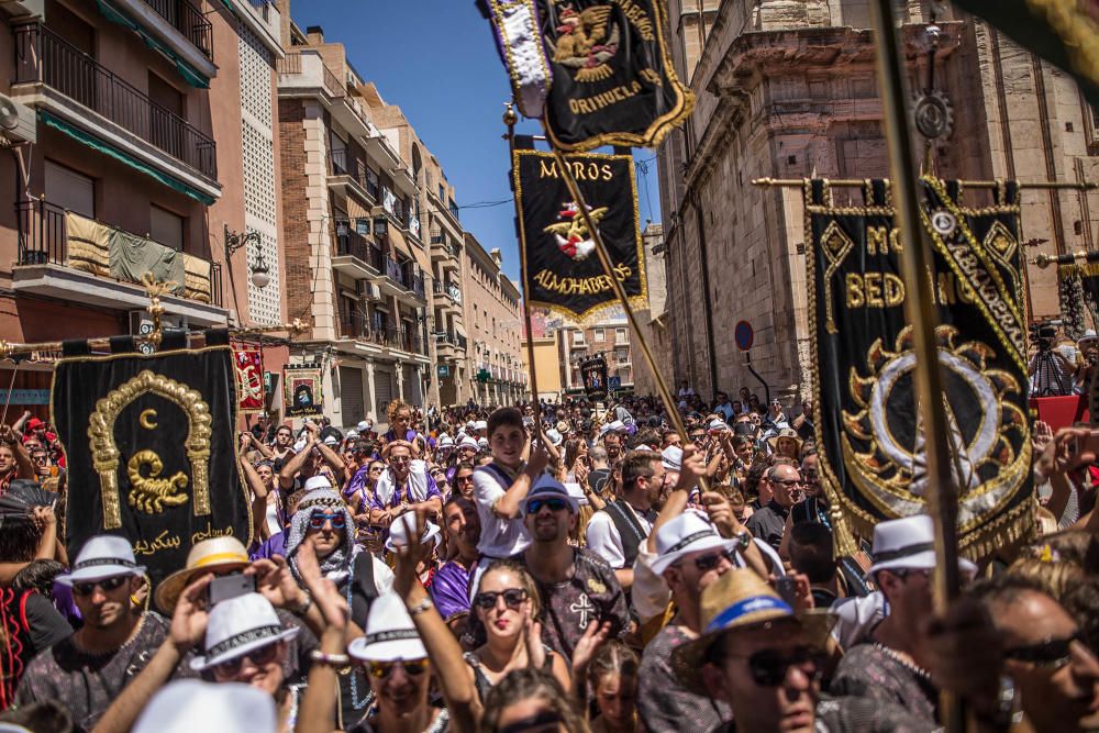 Pájaro Oriol en Orihuela