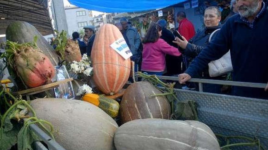 La huerta cruceña los tiene grandes