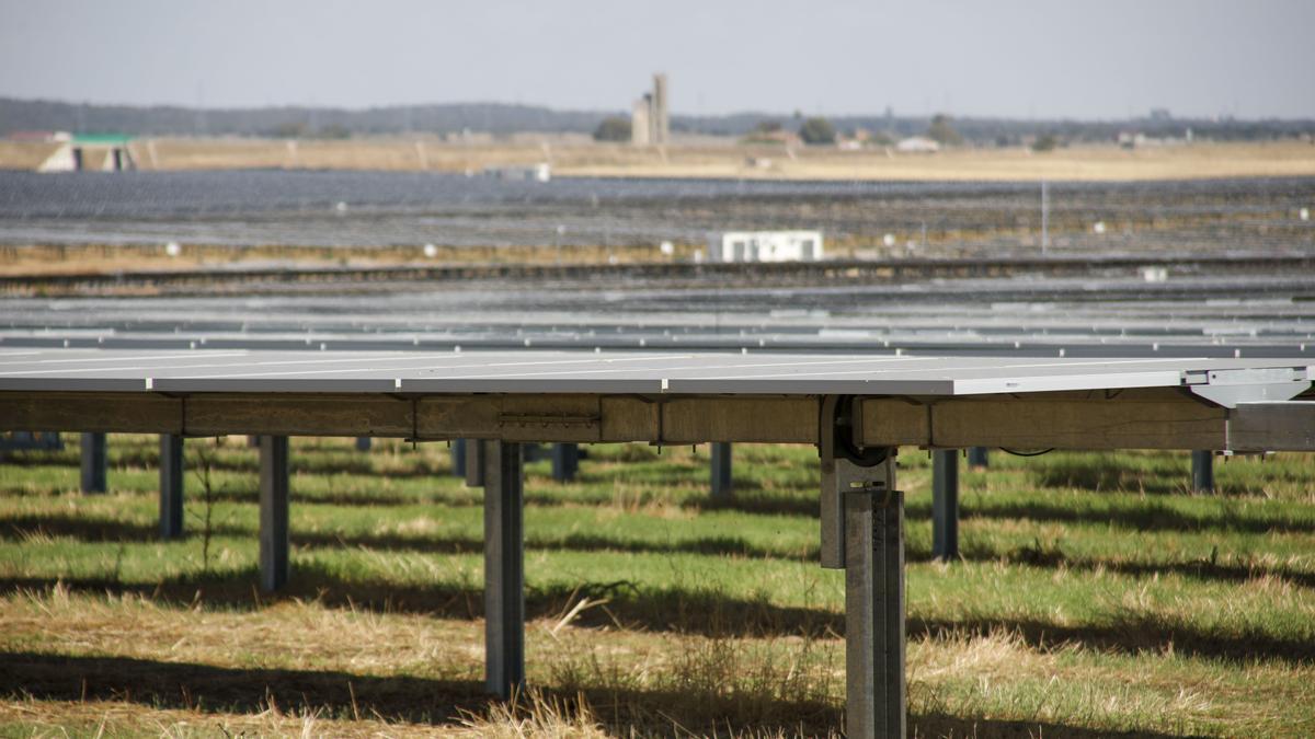 Placas fotovoltaicas de la instalación de Iberdrola junto a la N-521.