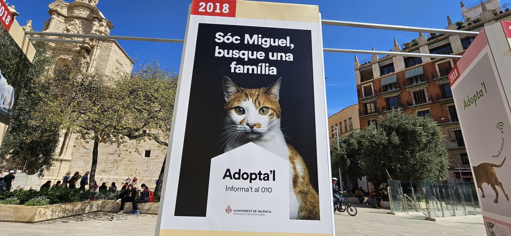 Las campañas municipales de Bienestar Animal a lo largo de los años