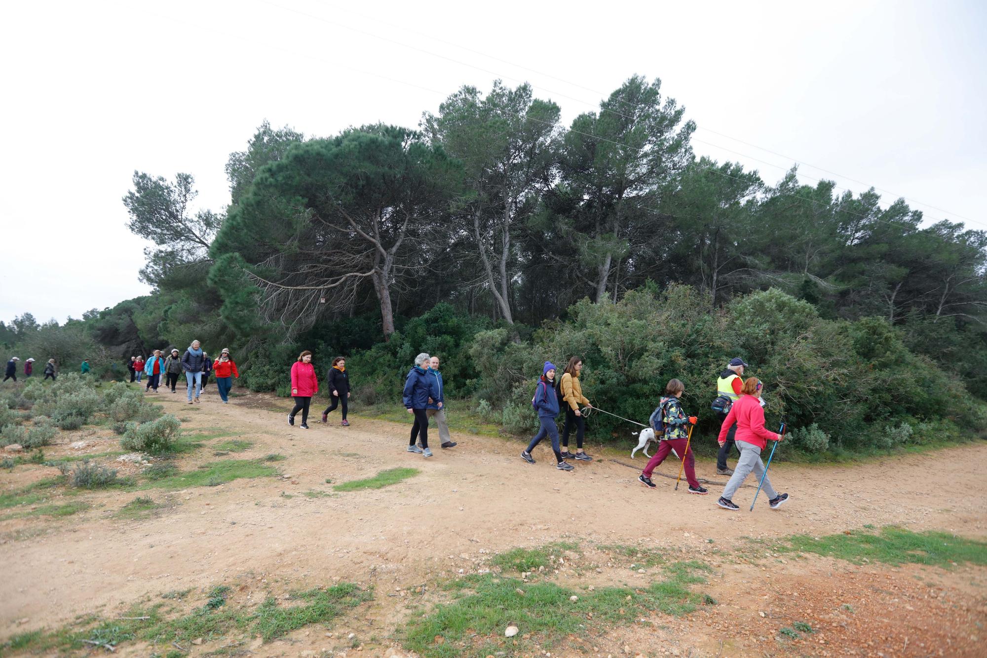 Un paseo contra el cáncer