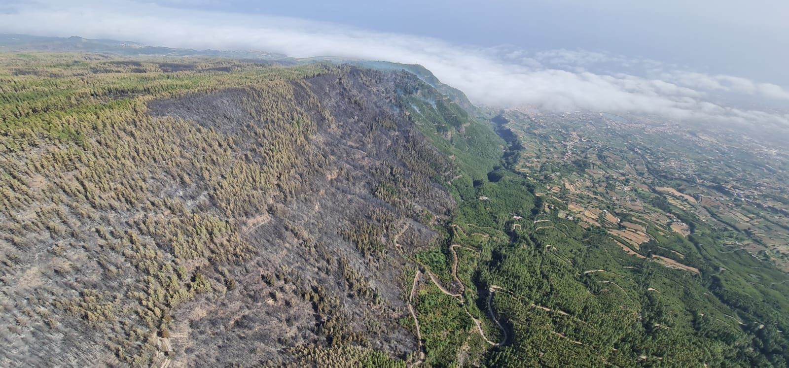 Aspecto de la zona de Tigaiga afectada por el incendio de Tenerife