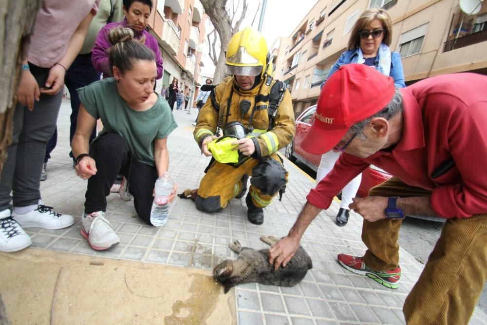 Una mujer herida y un gato muerto en el incendio de un piso en Elda