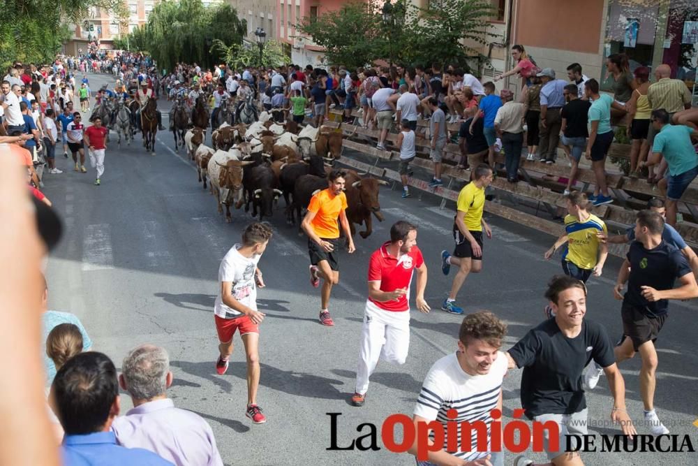 Séptimo encierro en Moratalla